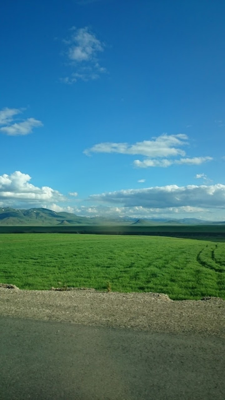 Yoncalı İlkokulu Merkez