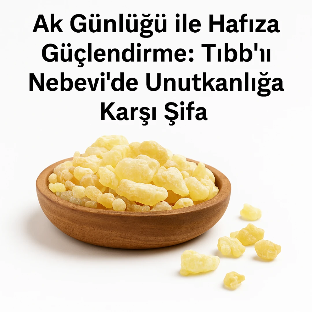 Ak Günlüğü ile Hafıza Güçlendirme: Tıbbı Nebevi’de Unutkanlığa Karşı Şifa