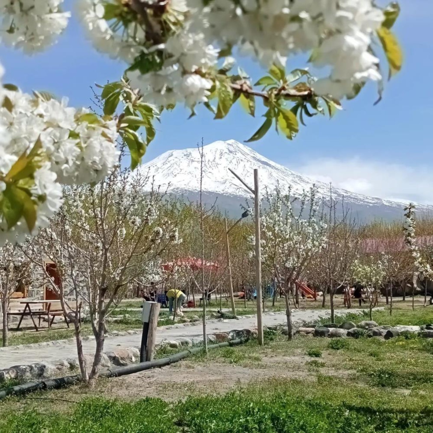 images/news/669/l/Doğubayazıt'ta_5_bin_meyve_ağacının_bulunduğu_bahçe_bungalov_evleri_ile_turistleri_ağırlıyor1.jpg