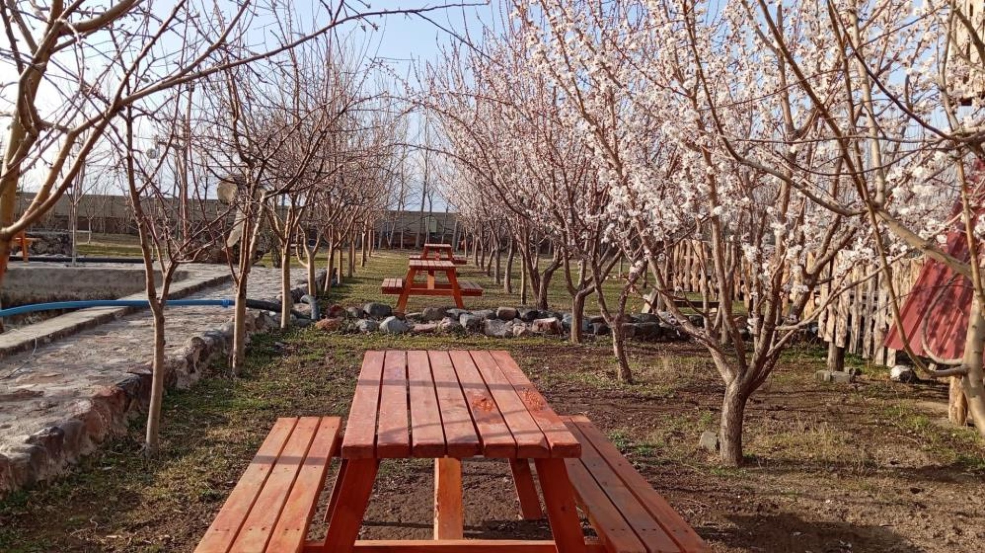 images/news/669/l/Doğubayazıt'ta_5_bin_meyve_ağacının_bulunduğu_bahçe_bungalov_evleri_ile_turistleri_ağırlıyor11.jpg