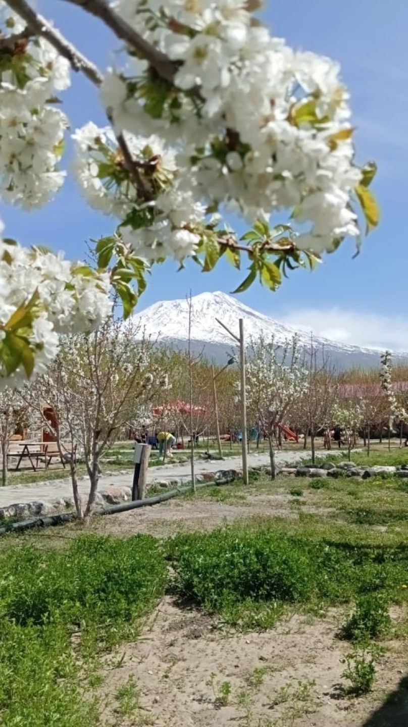 images/news/669/l/Doğubayazıt'ta_5_bin_meyve_ağacının_bulunduğu_bahçe_bungalov_evleri_ile_turistleri_ağırlıyor18.jpg