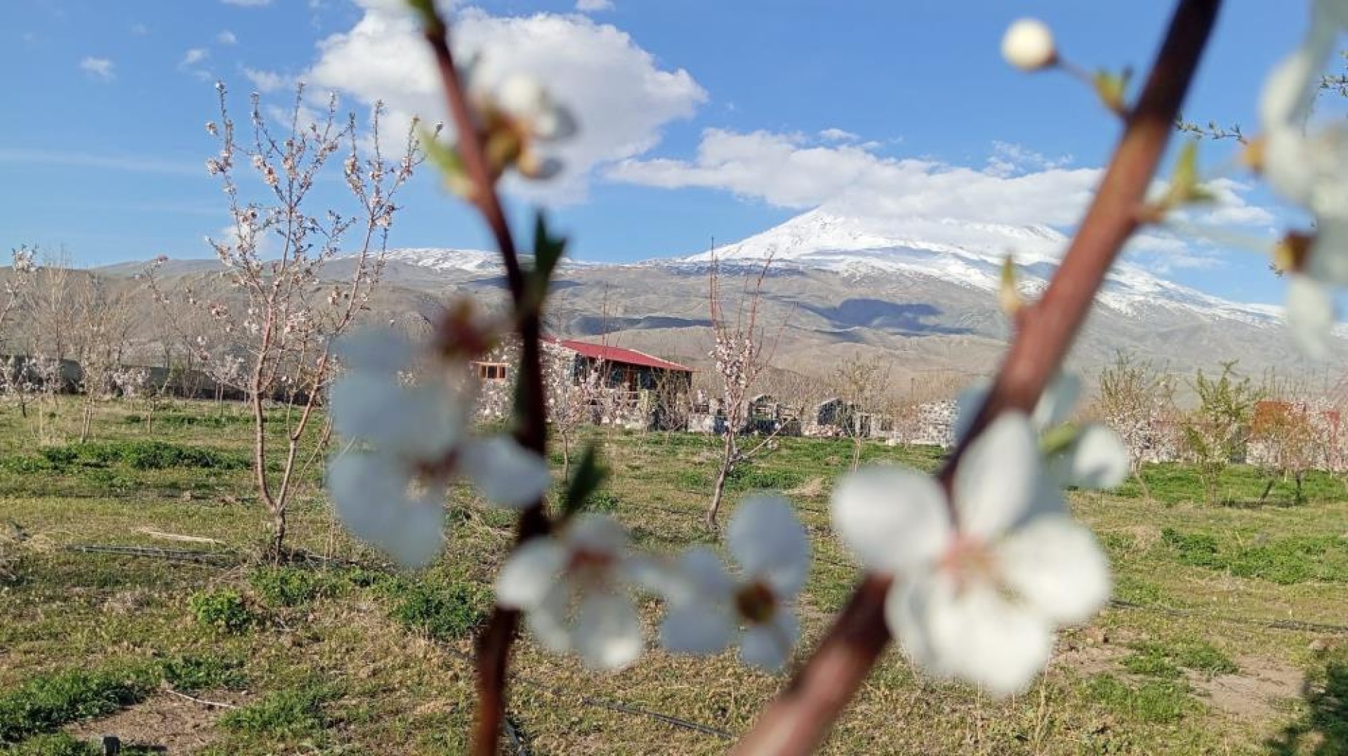 images/news/669/l/Doğubayazıt'ta_5_bin_meyve_ağacının_bulunduğu_bahçe_bungalov_evleri_ile_turistleri_ağırlıyor2.jpg