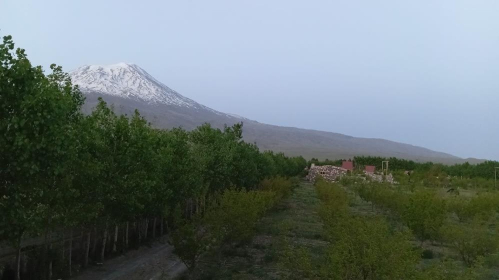 images/news/669/l/Doğubayazıt'ta_5_bin_meyve_ağacının_bulunduğu_bahçe_bungalov_evleri_ile_turistleri_ağırlıyor3.jpg