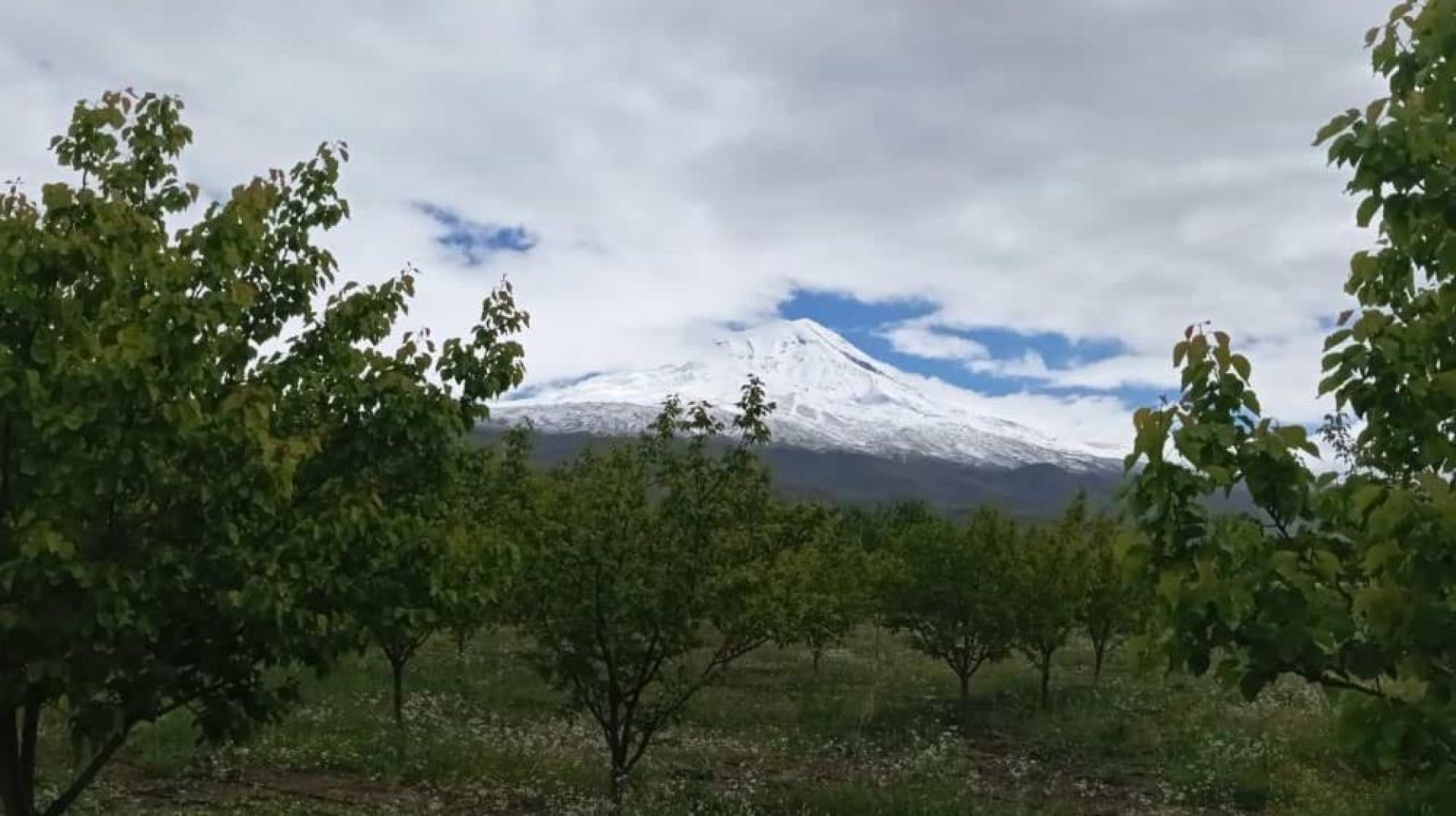 images/news/669/l/Doğubayazıt'ta_5_bin_meyve_ağacının_bulunduğu_bahçe_bungalov_evleri_ile_turistleri_ağırlıyor6.jpg