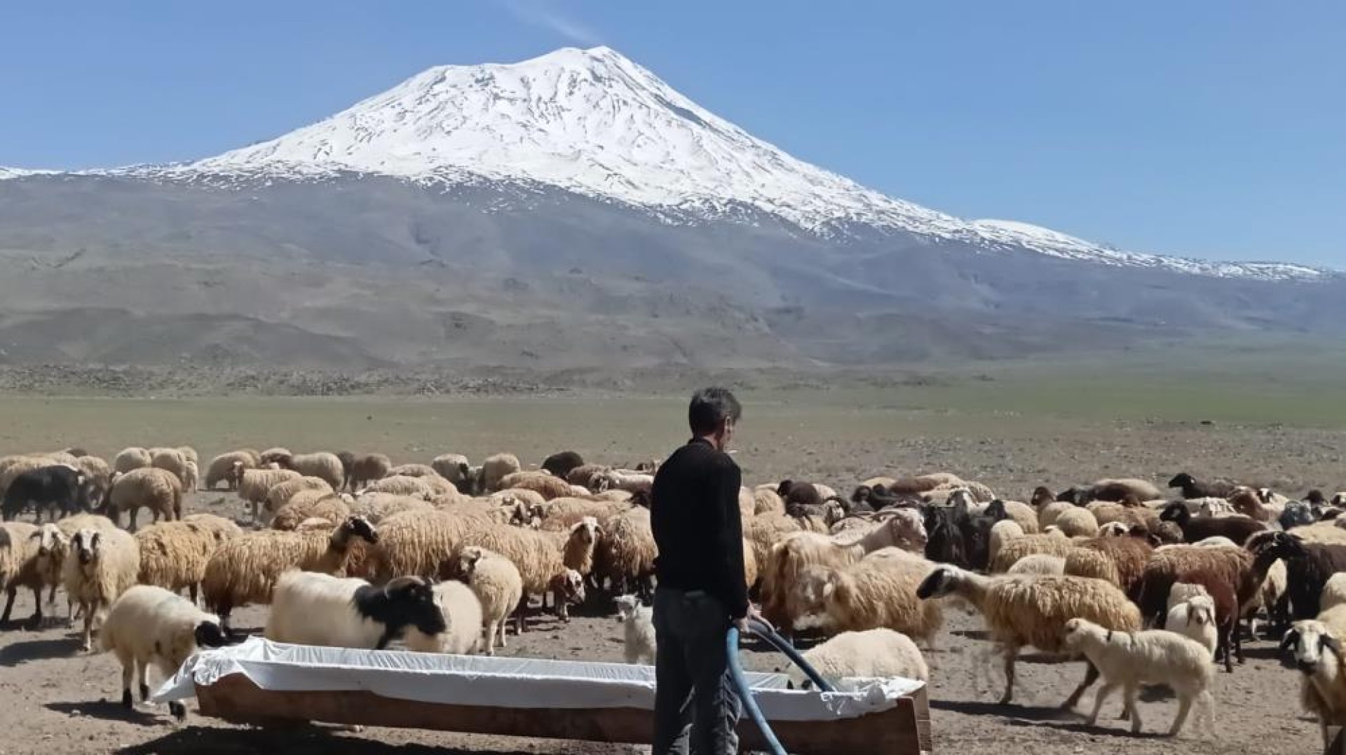 images/news/669/l/Doğubayazıt'ta_5_bin_meyve_ağacının_bulunduğu_bahçe_bungalov_evleri_ile_turistleri_ağırlıyor8.jpg