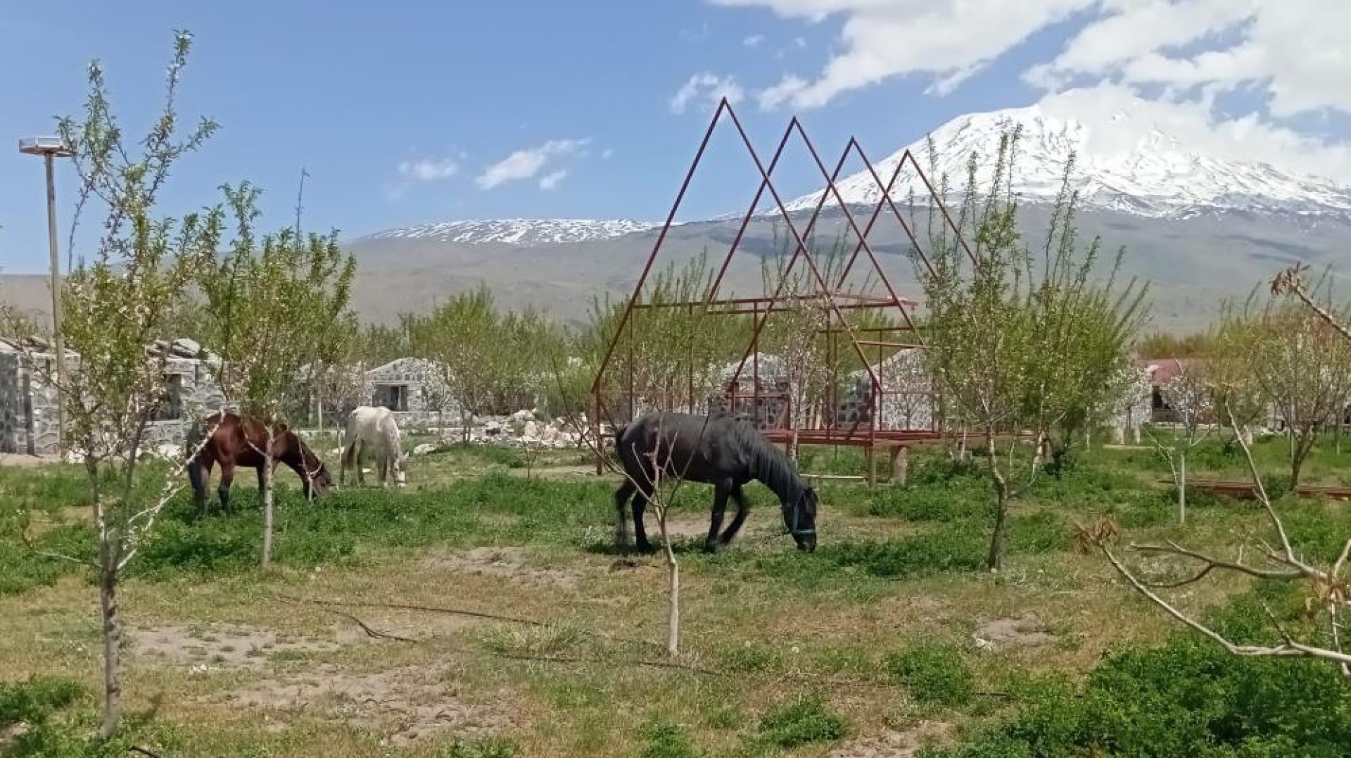 images/news/669/l/Doğubayazıt'ta_5_bin_meyve_ağacının_bulunduğu_bahçe_bungalov_evleri_ile_turistleri_ağırlıyor9.jpg