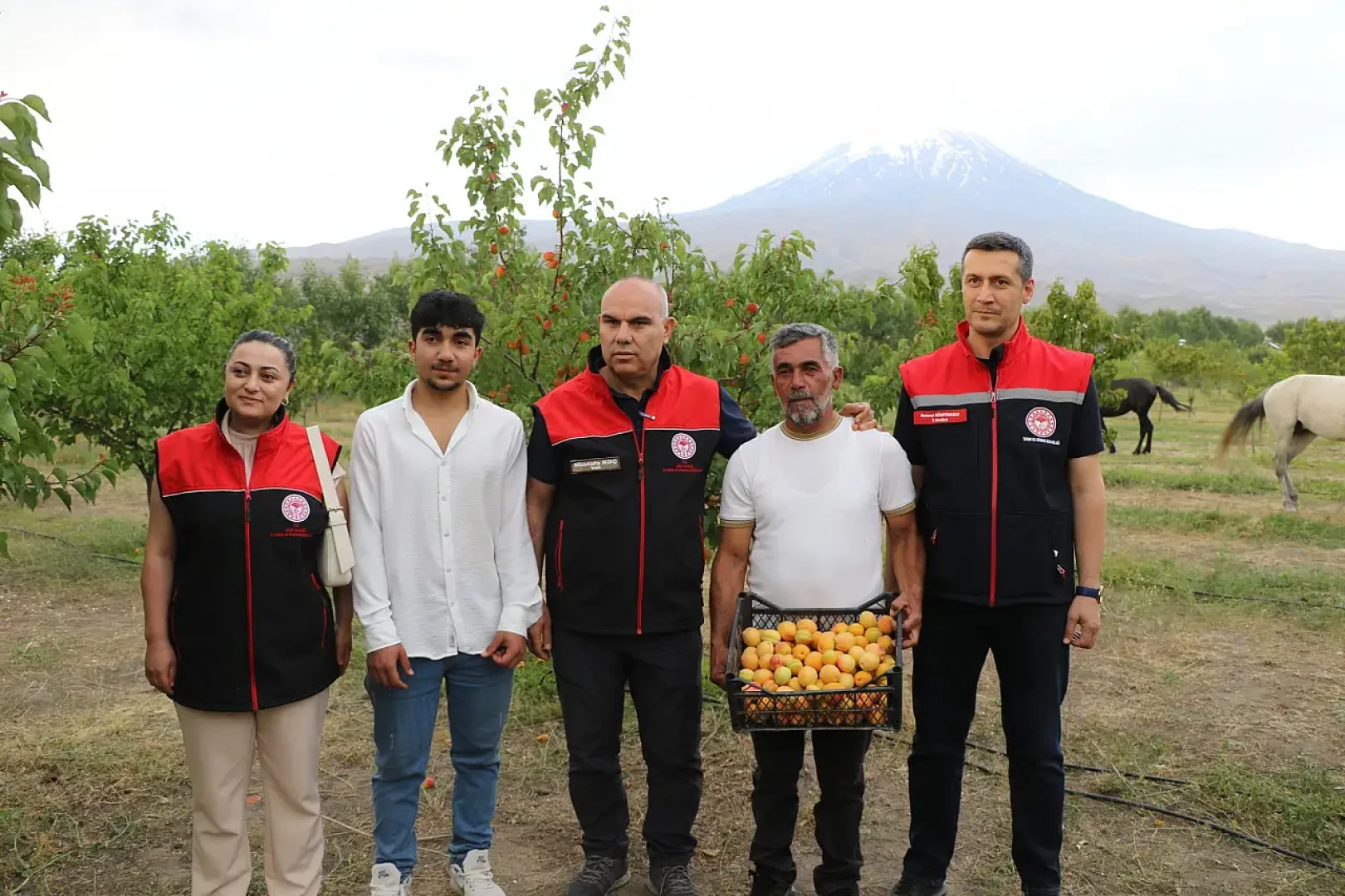 Vali Mustafa Koç, Ağrı Dağı Eteklerindeki Ararat Garden Meyve Bahçesini Ziyaret Etti