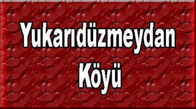 Yukarıdüzmeydan ( Dizmeydanajore ) Taşlıçay