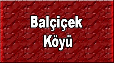 Balçiçek ( Avdelik ) Taşlıçay