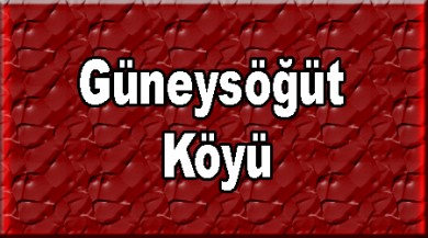 Güneysöğüt Taşlıçay