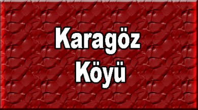 Karagöz ( Gomika Şawke ) Taşlıçay