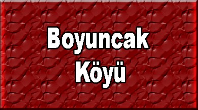 Boyuncak ( Leşkokomu ) Taşlıçay