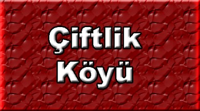 Çiftlik ( çiftlik ) Doğubayazıt