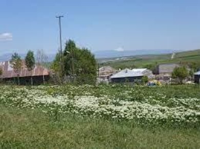 Badıllı (Badılya) Merkez