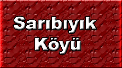 Sarıbıyık Doğubayzıt