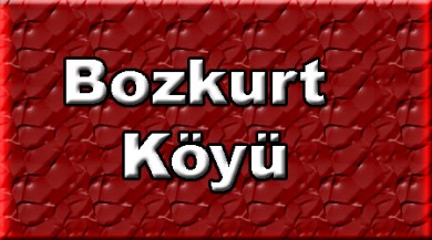 Bozkurt Doğubayazıt