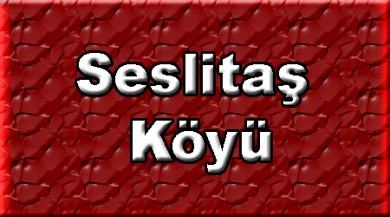 Seslitaş ( Çalganitacdi ) Doğubayazıt