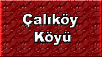 Çalıköy ( Çale ) Doğubayazıt