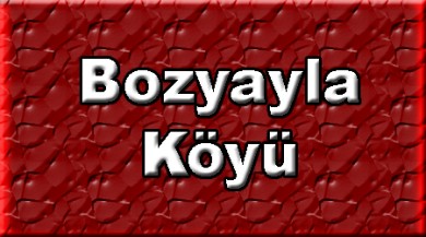 Bozyayla ( Kariler ) Doğubayazıt