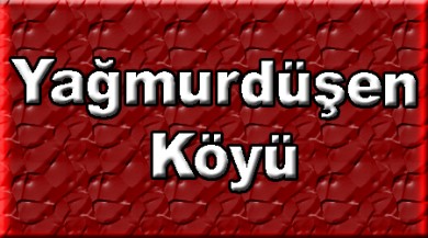 Yağmurdüşen ( Çılkaniyasivo ) Doğubayazıt