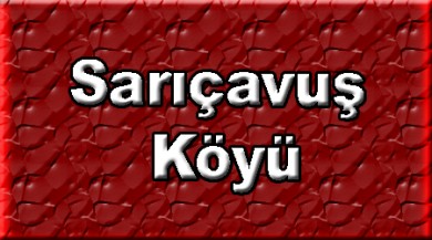 Sarıçavuş ( Gurveren ) Doğubayazıt