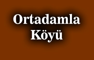 Ortadamla ( Aciniye Orte ) Patnos