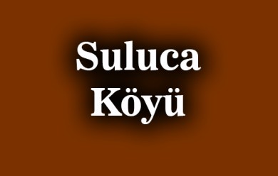 Suluca ( Liyesor ) Patnos