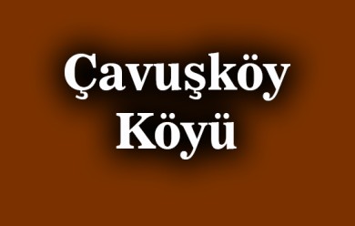 Çavuşköy ( Çawiş ) Patnos