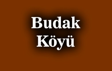 Budak ( Büdax ) Patnos