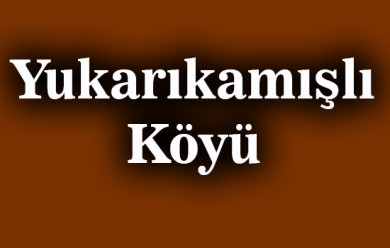 Yukarıkamışlı (Patnos)