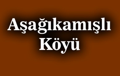 Aşağıkamışlı ( Qomişliya Jere ) Patnos