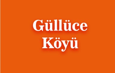 Güllüce ( Gulice ) Patnos