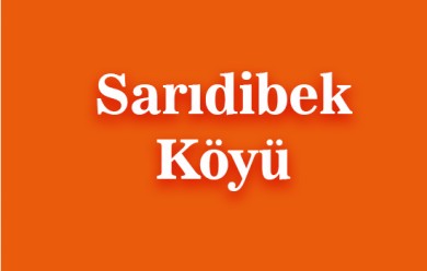 Sarıdibek ( Kolik ) Patnos