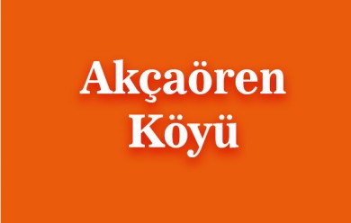 Akçaören ( Axcewêran ) Patnos