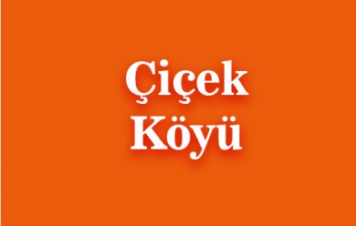 Çiçek ( Çiçek ) Patnos