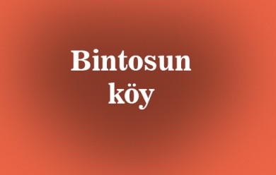 Bintosun ( Berdav ) Tutak