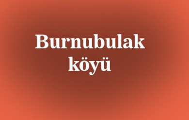 Burnubulak ( Bırnebılax ) Tutak