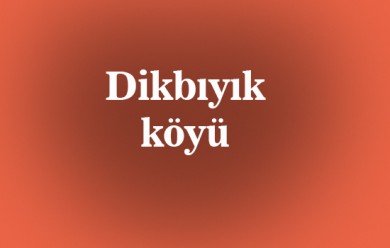 Dikbıyık (  Haciboti ) Tutak