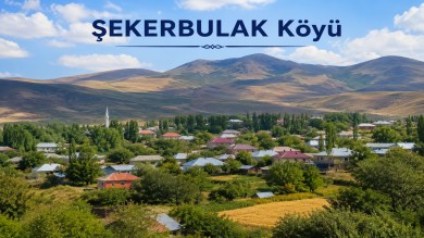 Şekerbulak Tutak